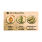 Malabar Tamarind / Kudampuli